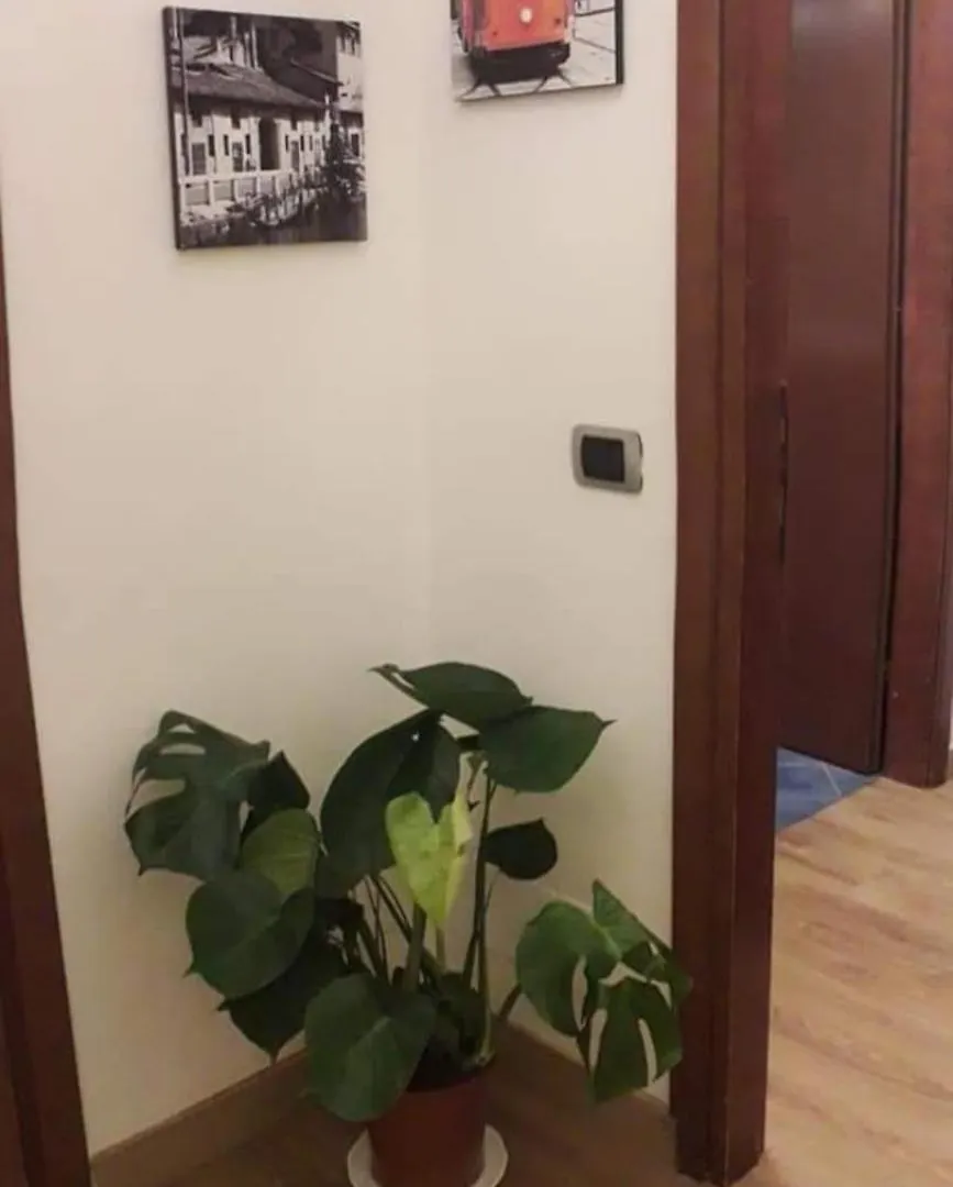 B&B Domobella -- Ripamonti / Ieo / Prada / Bocconi -- Milano Italia